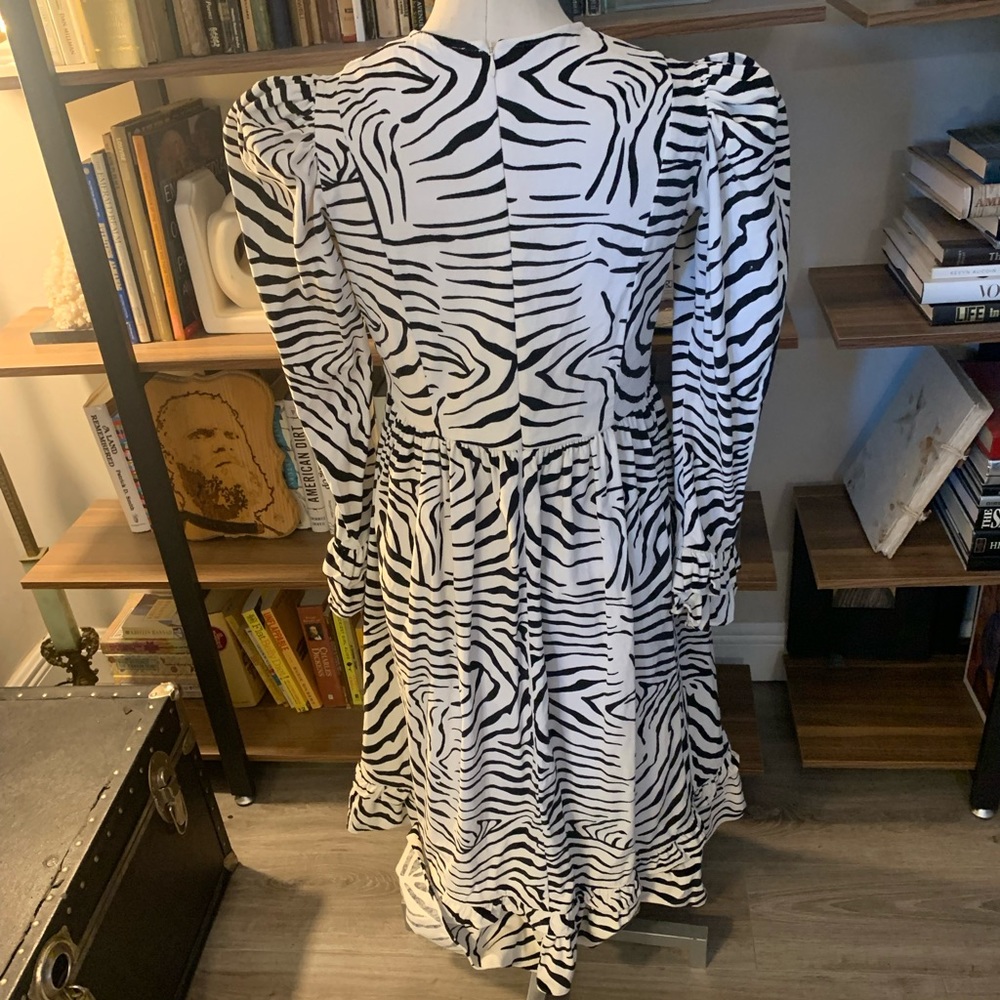 Zebra Print Long Sleeve Midi Dress - Black & White - Picture 3 of 11